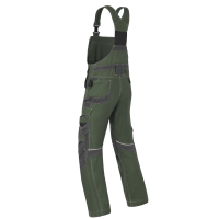 HAVEP AM Overall Attitude 20195